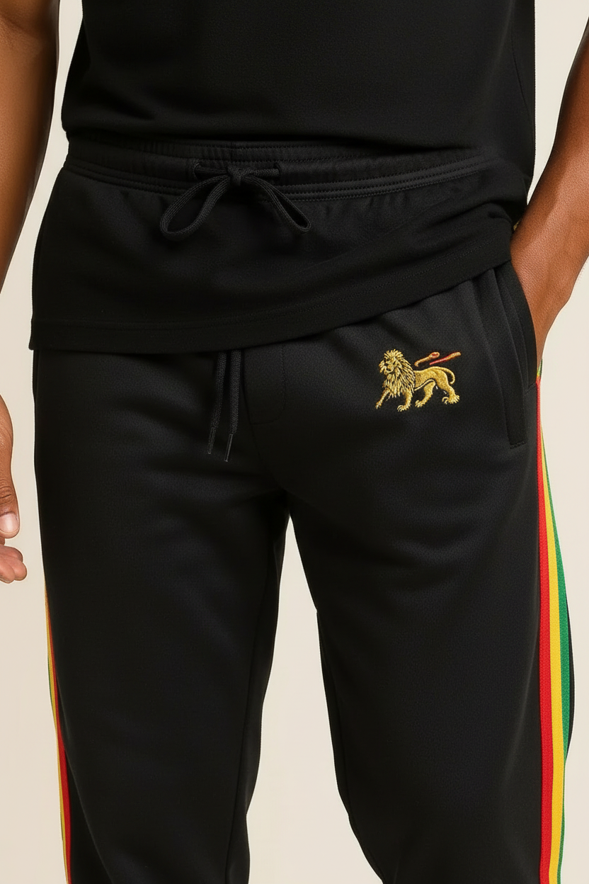 CRAZY Lizard Rasta Reggae Zip Hoodie in Rasta Stripes and Ethiopian Lion Embroidery. Black Hoodie with Stripes Reggae