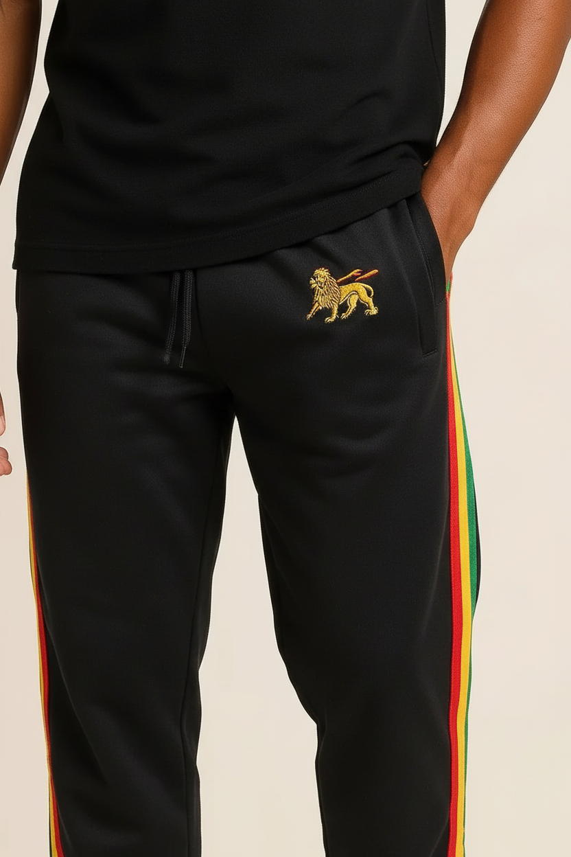 CRAZY Lizard Rasta Reggae Zip Hoodie in Rasta Stripes and Ethiopian Lion Embroidery. Black Hoodie with Stripes Reggae
